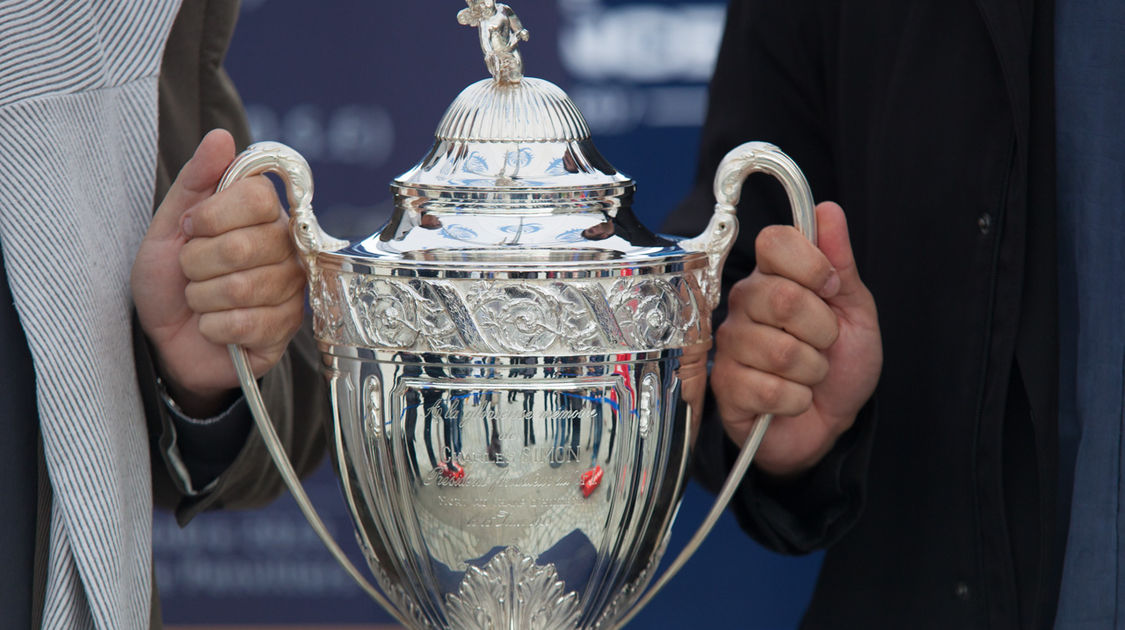 La coupe de France exposée place Saint-Corentin (10)