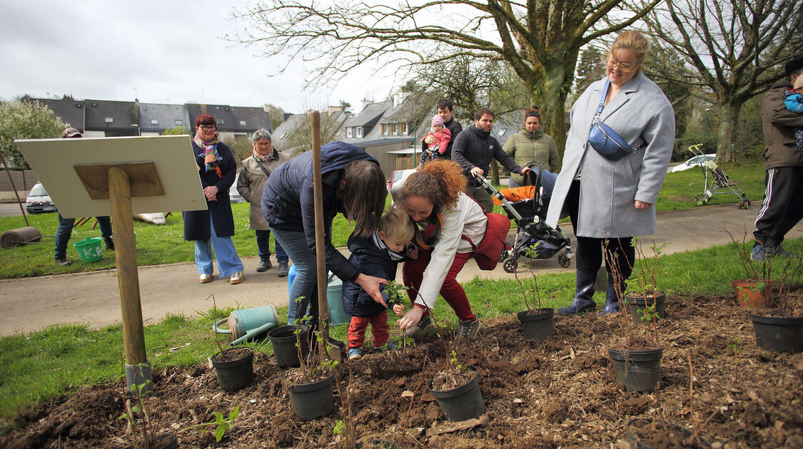 Des enfants et des arbres 2024 - 3e édition