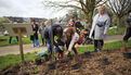 Des enfants et des arbres 2024 - 3e édition