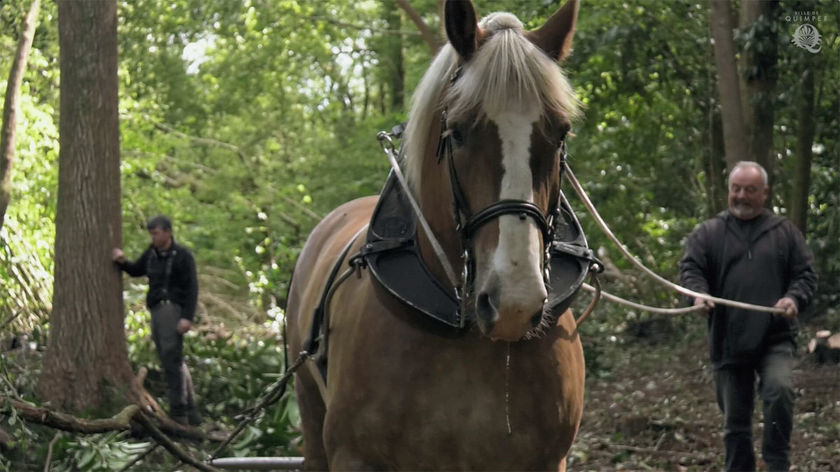 Hubert, postier breton, entretient le ruisseau du Quinquis