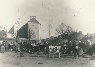 Vue du champ de foire un jour de marché