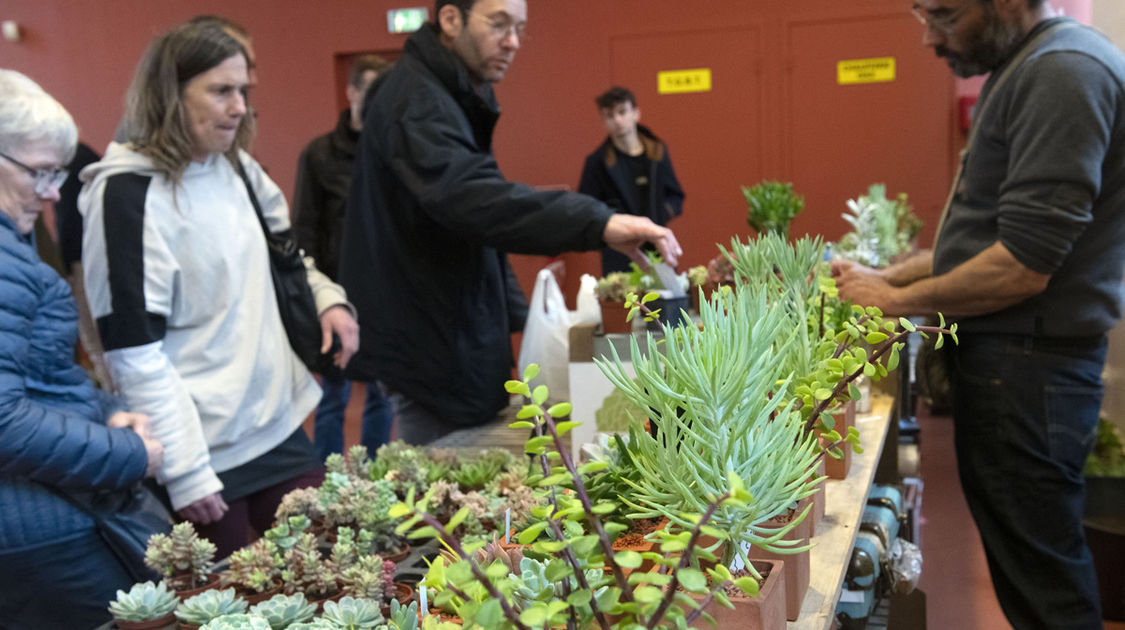 Salon Grandeur Nature - Cactées et plantes succulentes 2019  (3)