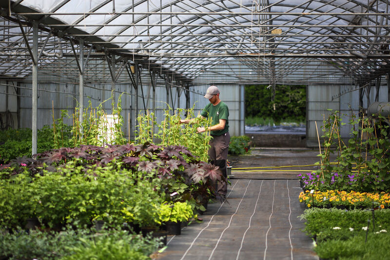 Travaux du centre horticole de Quimper