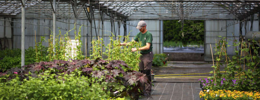 Travaux du centre horticole de Quimper