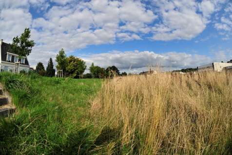 Fauchage : une gestion raisonnée au service de la biodiversité