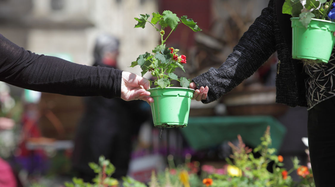 Le 10 mai 2015, le marché de la fleur d'été de retour sur les quais de l'Odet.