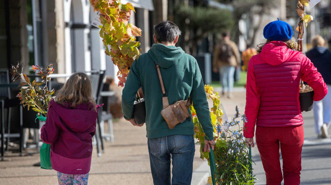 Marché de la fleur d’automne 2022