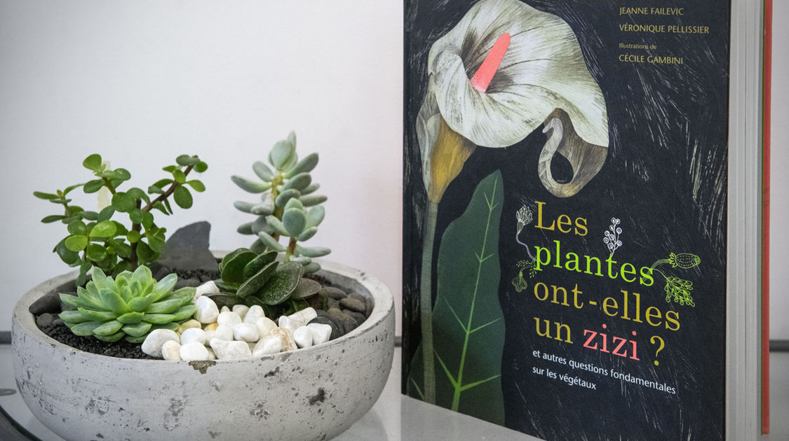 Salon Grandeur Nature - Cactées et plantes succulentes 2019  (15)