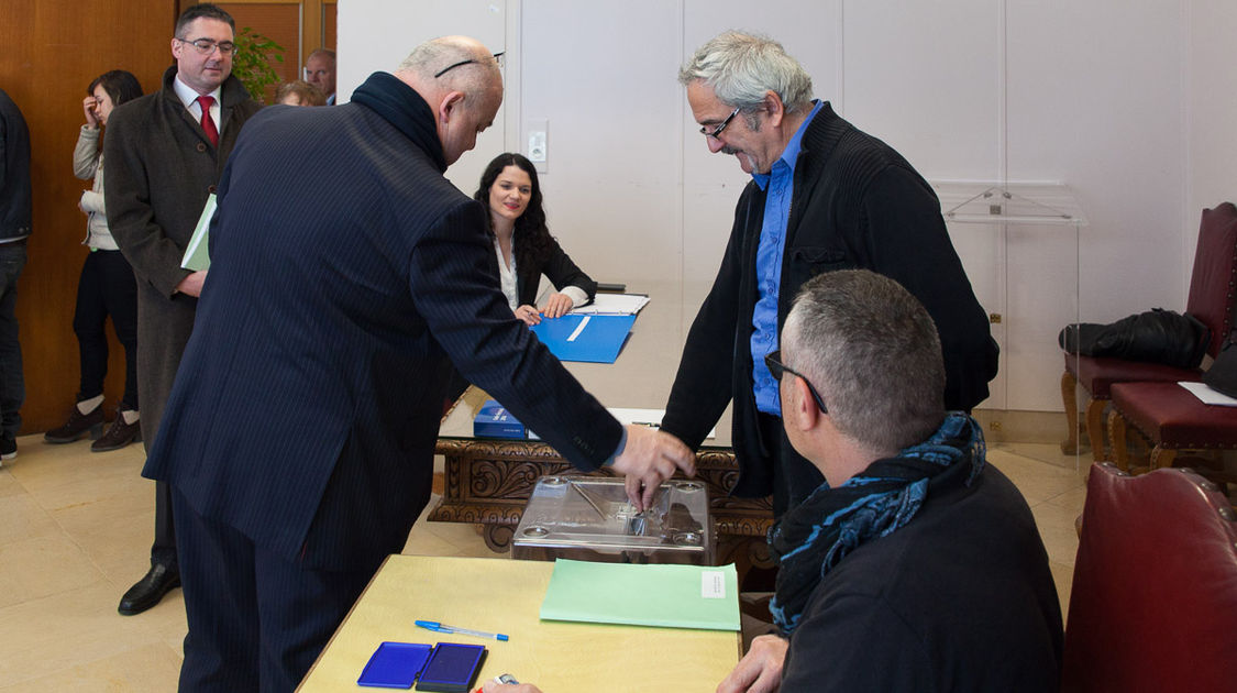 Premier tour des élections départementales 2015 (13)