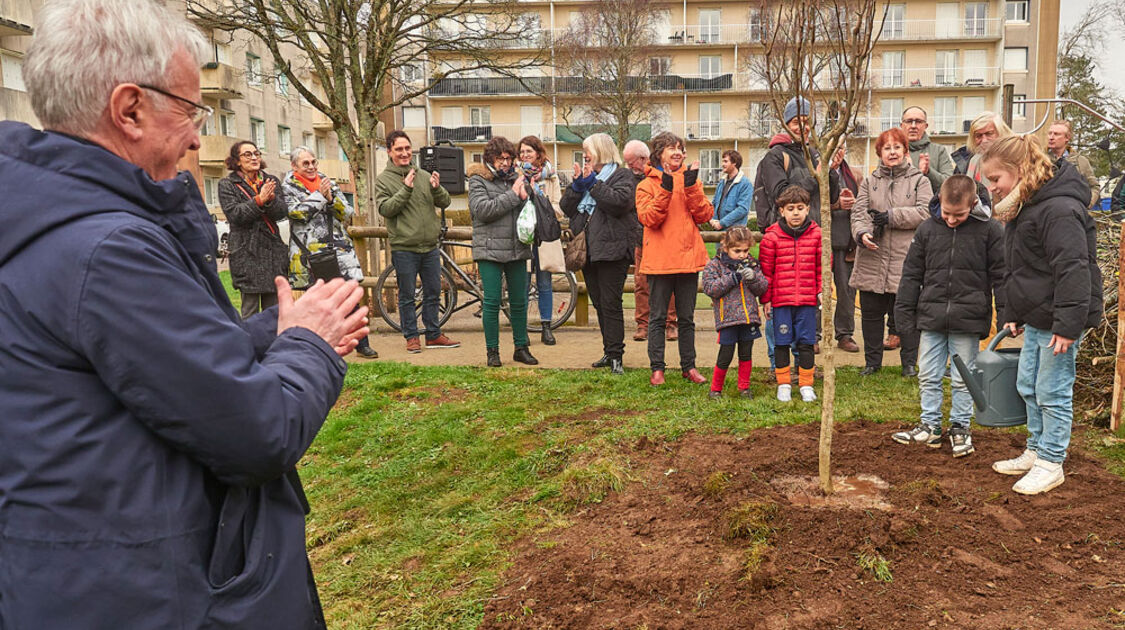 Budget participatif : Des arbres fruitiers et arbustes à Kerfeunteun