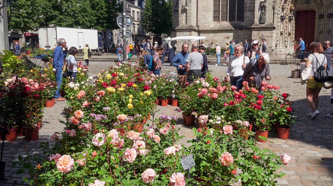 Marché de la fleur d'été 2022