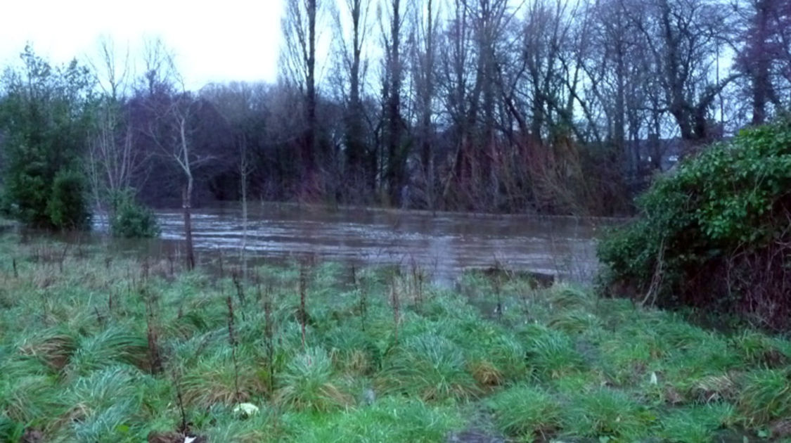 Crue - Odet et Steir - 24 décembre 2013 (1)