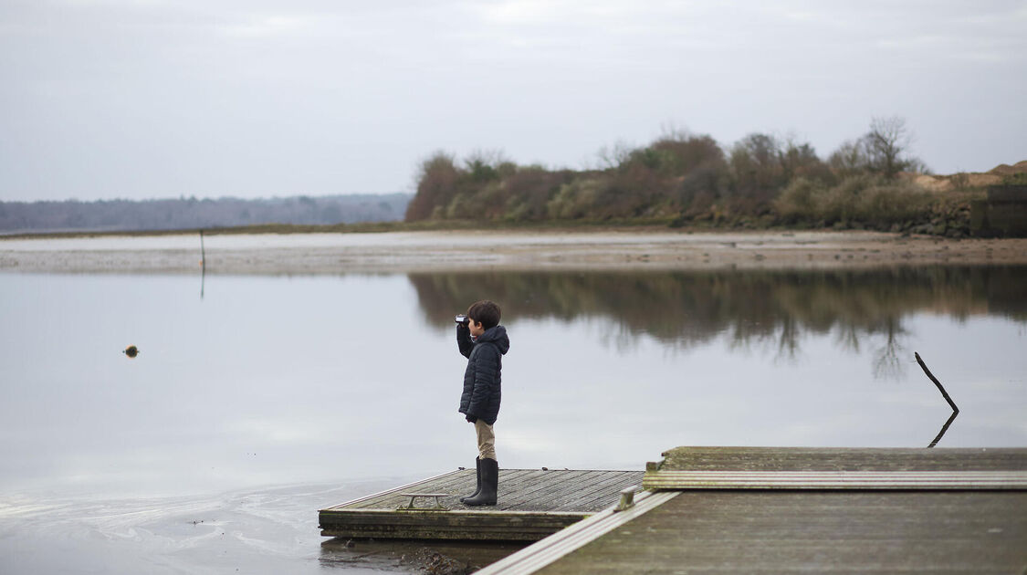 Sortie nature dans la baie de Kerogan à la découverte des oiseaux d'eau