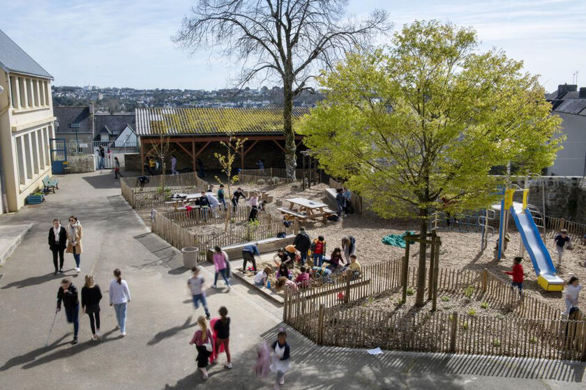 Végétalisation des cours d'école : Inauguration au groupe scolaire Frédéric Le Guyader