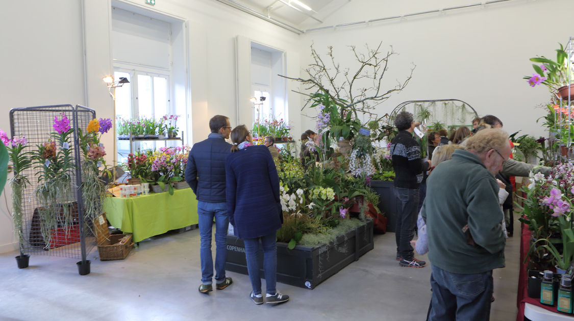 Premier salon grandeur nature - Les orchidées plantes étranges et envoûtantes (4)