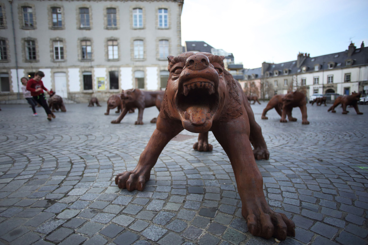 Les loups arrivent au bout du monde