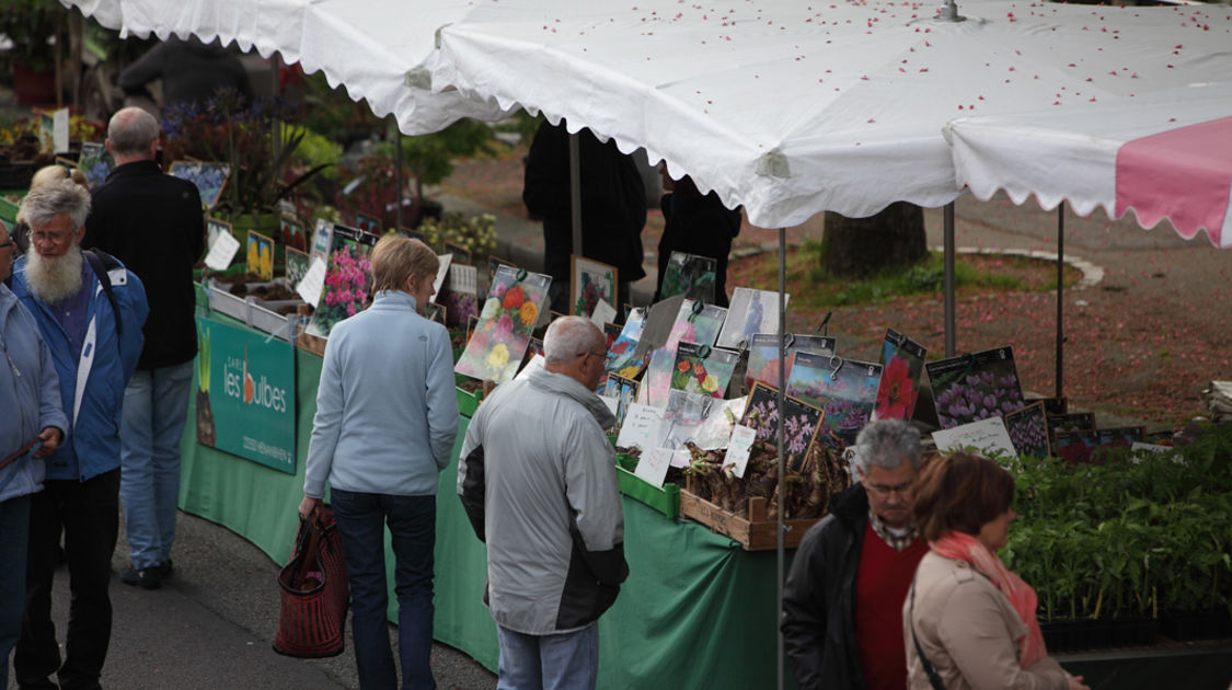 Le 10 mai 2015, le marché de la fleur d'été de retour sur les quais de l'Odet.