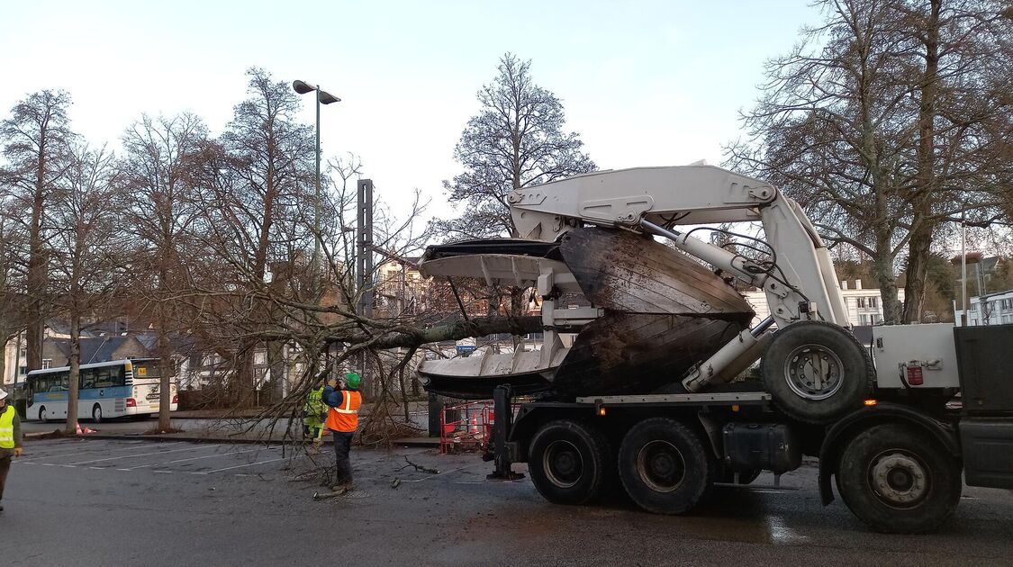 Gare-Parc : transplantation d’arbres au Corniguel