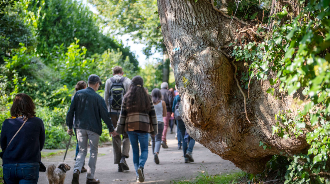 Festival "Le Temps de l'arbre" 2021 - Visite du Braden