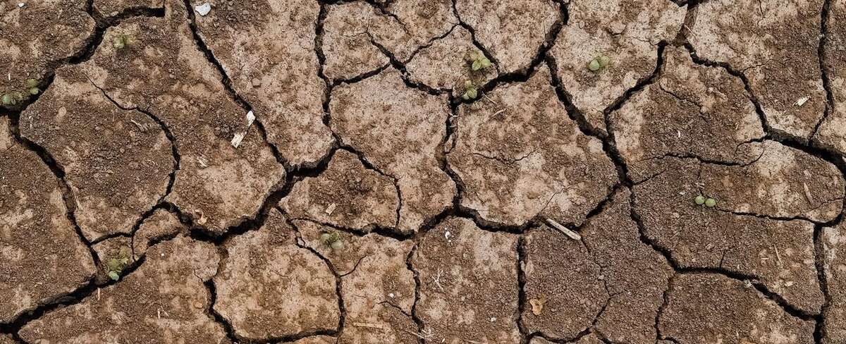 Le Bassin versant de l’Odet placé en crise sécheresse
