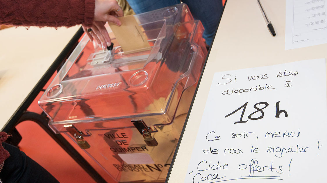 Second tour des élections départementales 2015 (1)