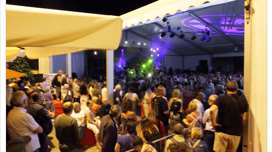 Festival de Cornouaille 2014 (3)