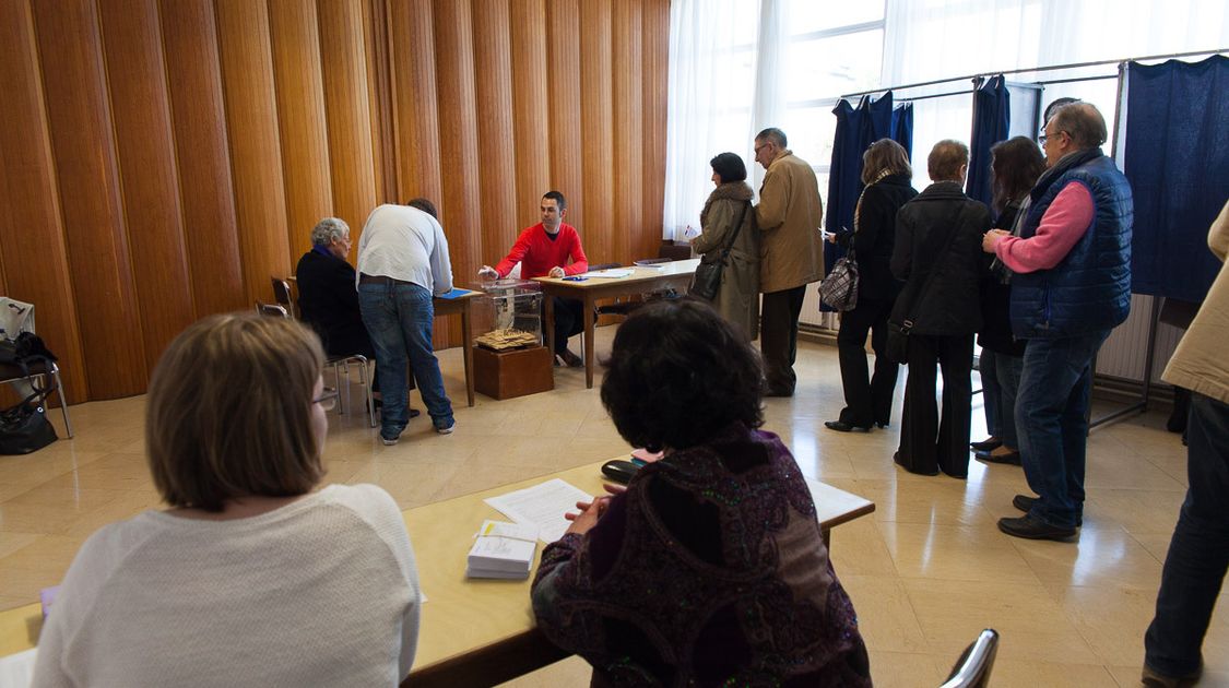 Premier tour des élections départementales 2015 (12)