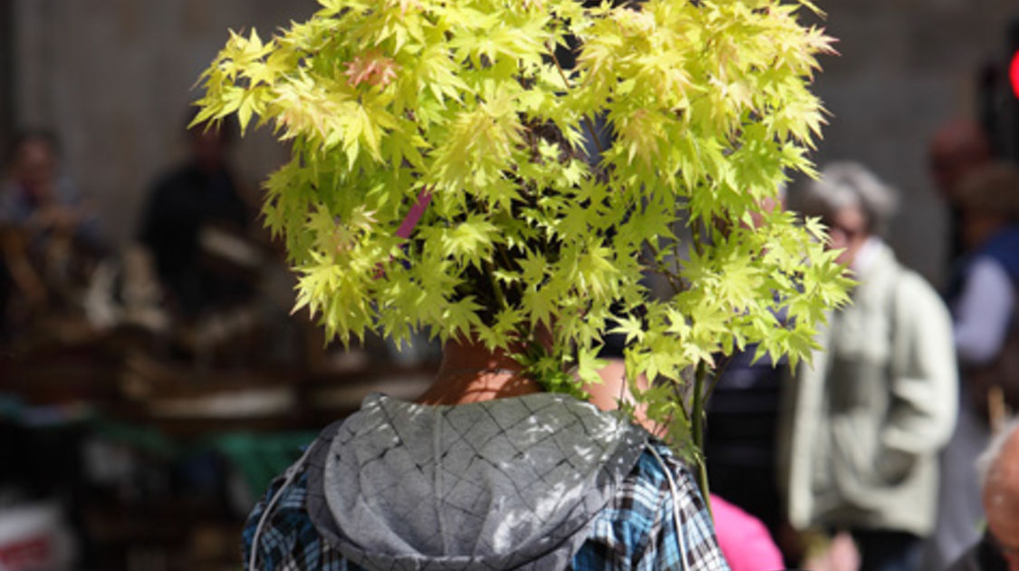 Le 10 mai 2015, le marché de la fleur d'été de retour sur les quais de l'Odet.