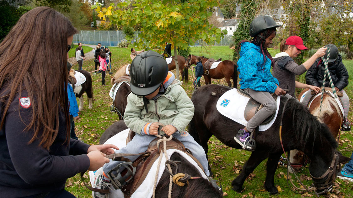 Sport dans les quartiers - Animation équitation (3)