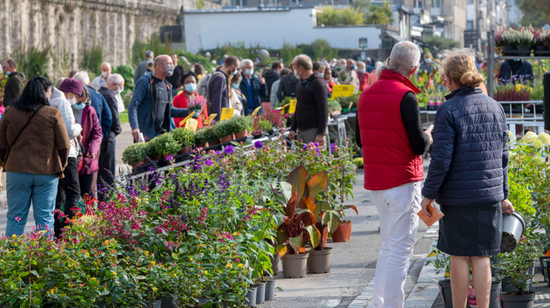 Festival "Le Temps de l'arbre" 2021 - Marché de la fleur d'automne