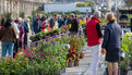 Festival "Le Temps de l'arbre" 2021 - Marché de la fleur d'automne