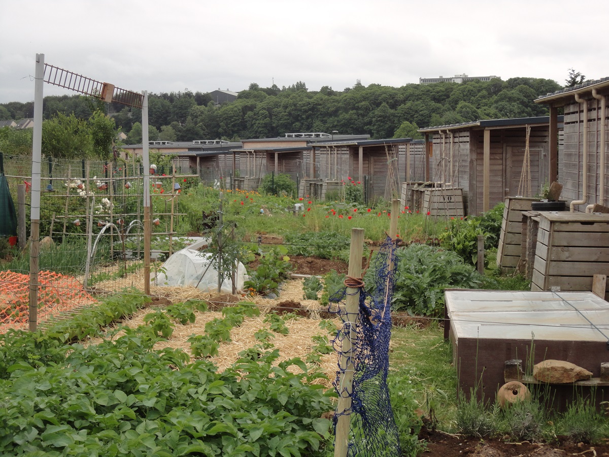 Découvrez les lauréats 2017 du concours communal des maisons fleuries