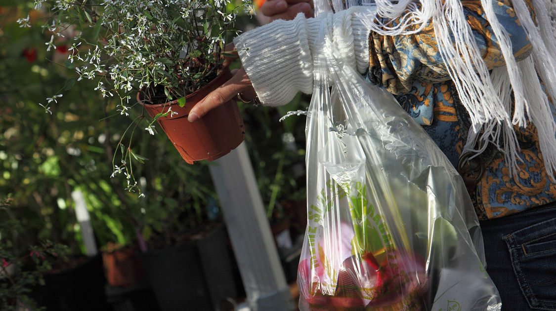 Marché de la fleur - 2 octobre 2016 (8)