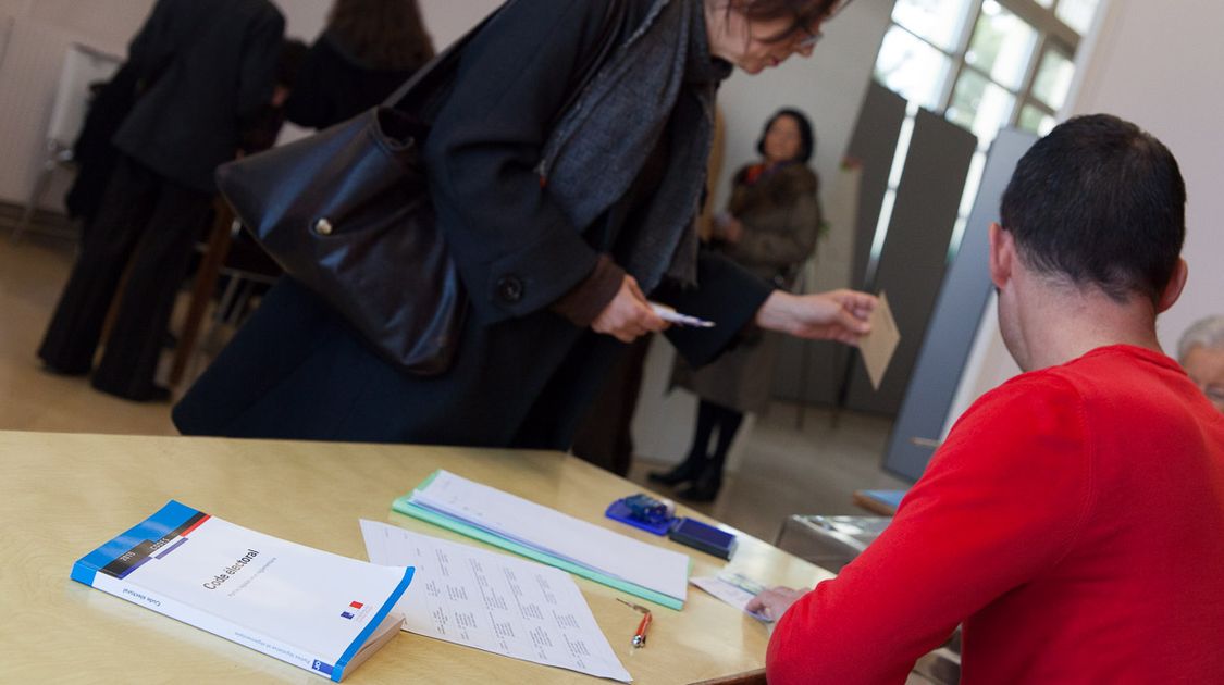 Premier tour des élections départementales 2015 (10)