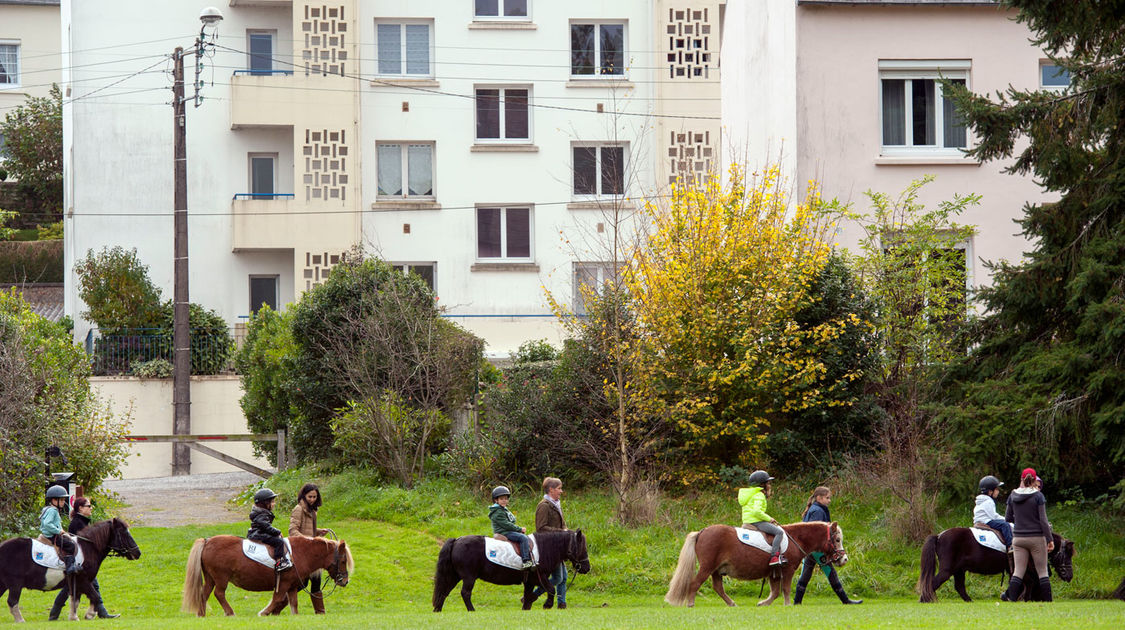 Sport dans les quartiers - Animation équitation (11)