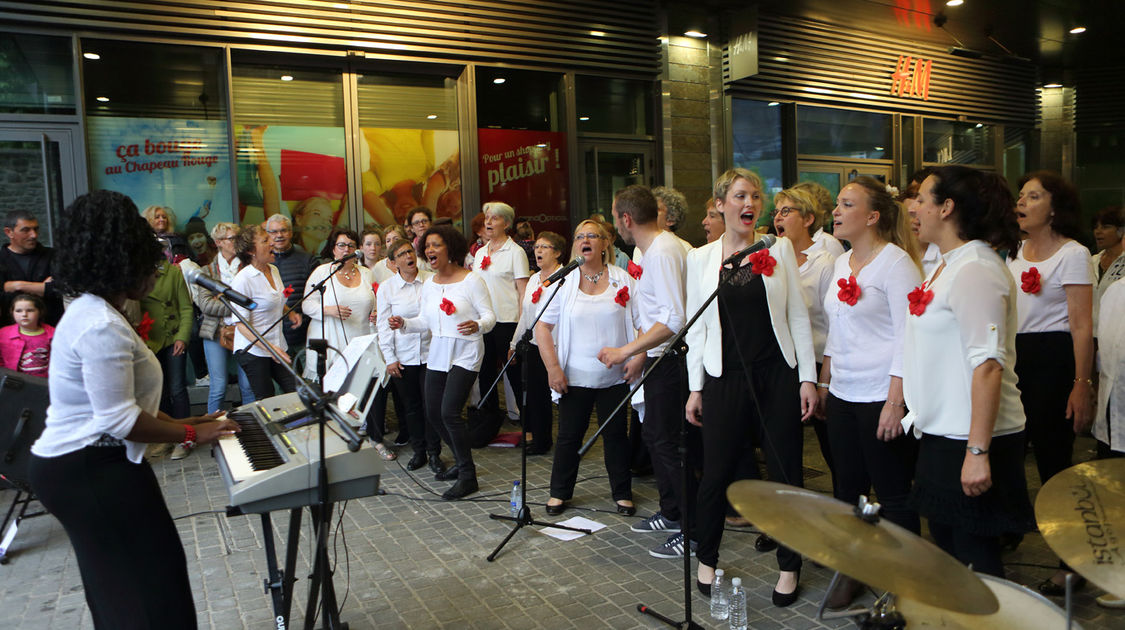 Fête de la musique - 21 juin 2016 (17)