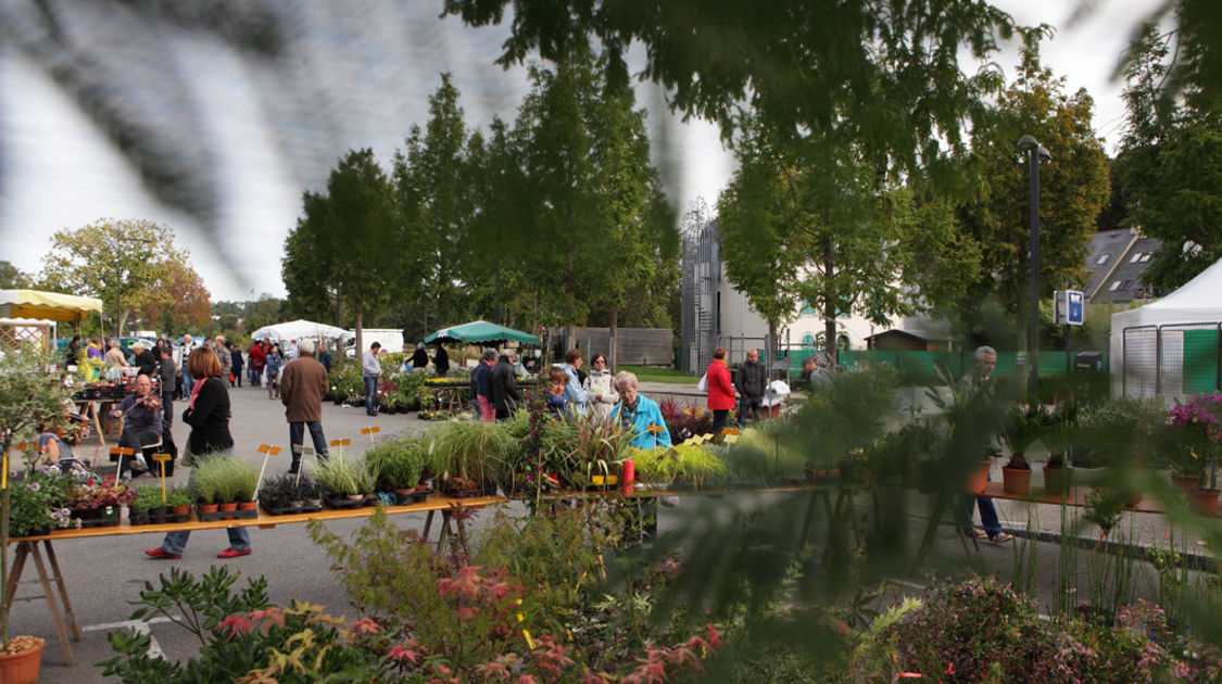 Marché de la fleur d automne 2014 (1)