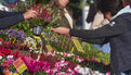 Marché de la fleur d'Automne 2025