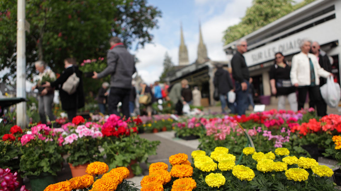 Le 10 mai 2015, le marché de la fleur d'été de retour sur les quais de l'Odet.