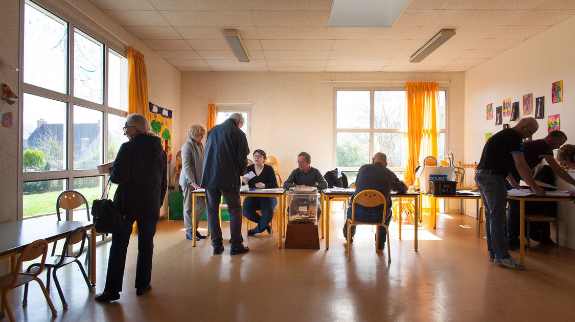 Premier tour des élections départementales 2015 (2)