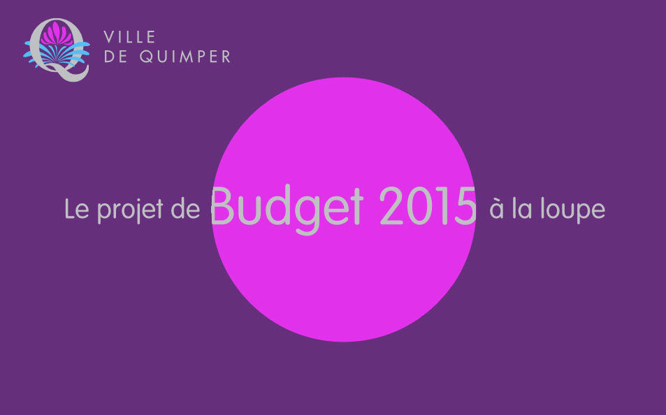 Le budget 2015 à la loupe