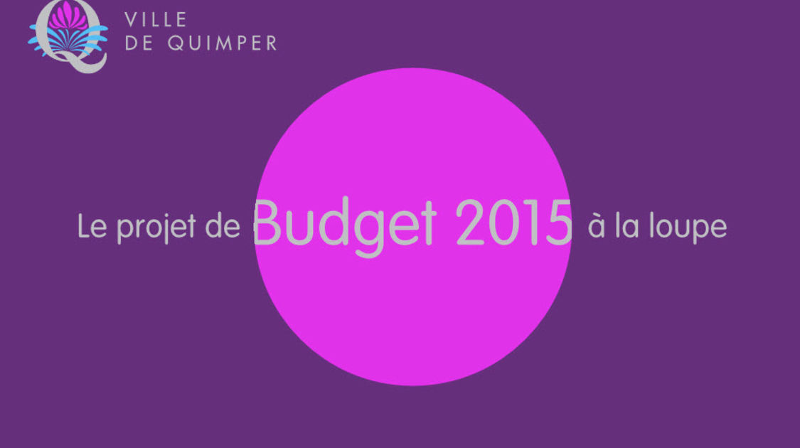 Le budget 2015 à la loupe