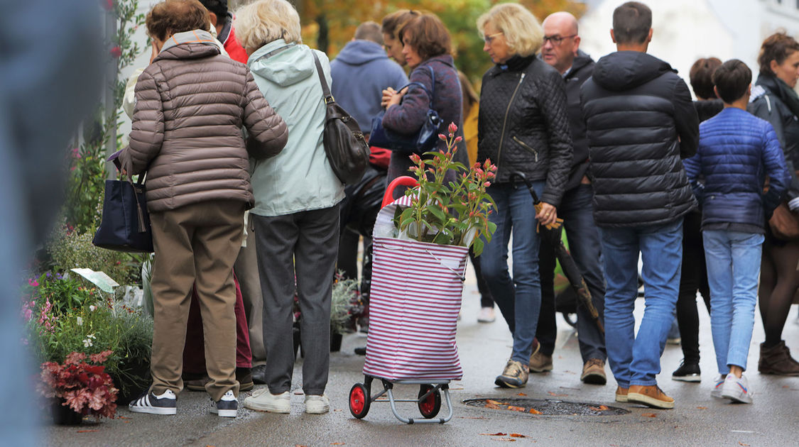 MARCHE AUTOMNE 2019 0015