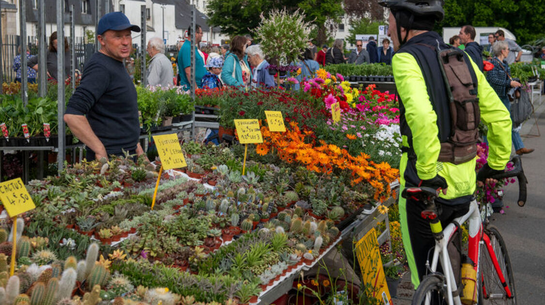 Marché de la fleur d'été 2026