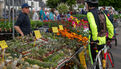 Marché de la fleur d'été 2026