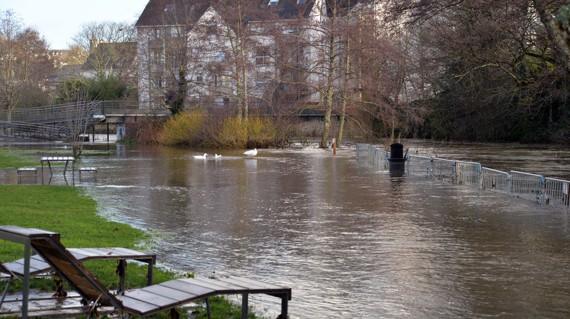 Inondation - Le Steir déborde - Les rives le long du parking de la Providence - 7 février 2014 (16)