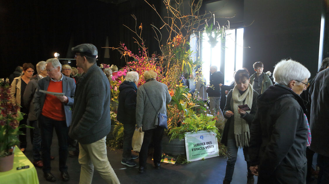 Premier salon grandeur nature - Les orchidées plantes étranges et envoûtantes (7)