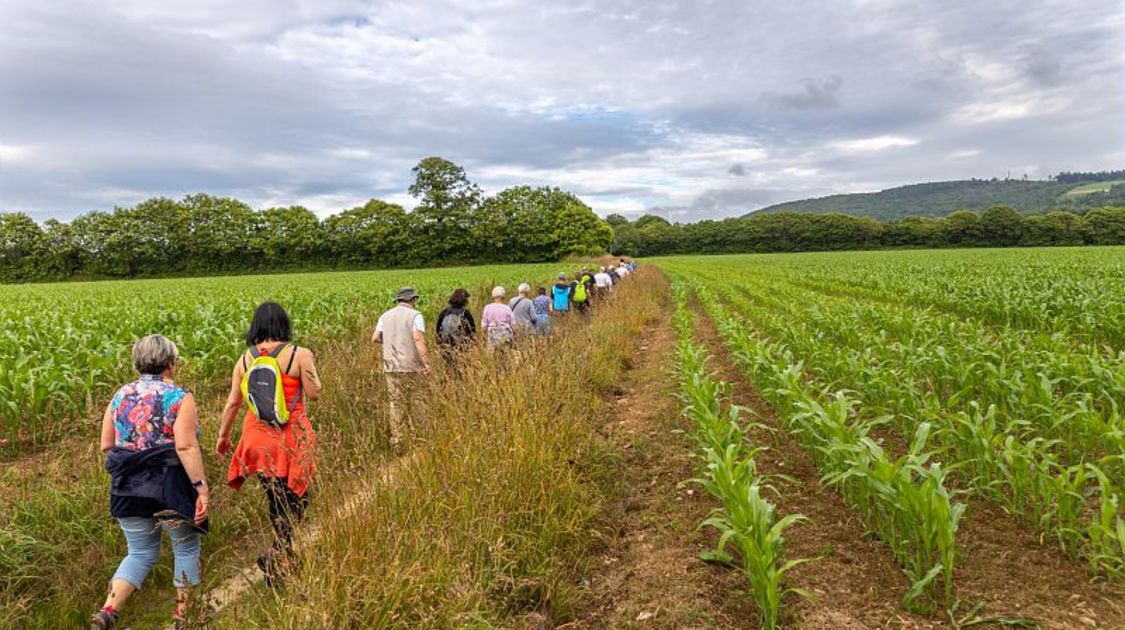 Les chemins de l'été 2021