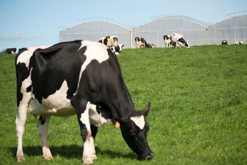 Et si on aidait les agriculteurs ? 