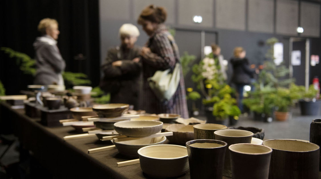 2e édition du salon Grandeur Nature consacré cette année aux bonsaï (15)